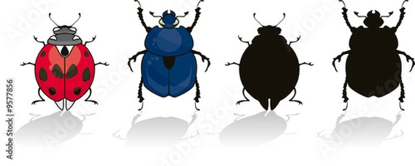 Obraz Ladybug and beetle isolated on white with his silhouette