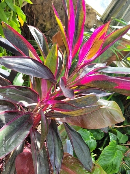 Obraz red and yellow flower