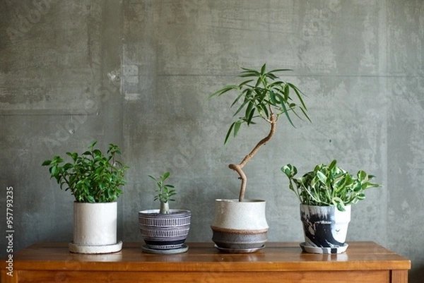 Obraz テーブルに並べた鉢植えの観葉植物
