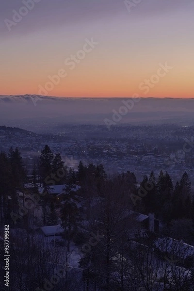 Obraz Winter and snow