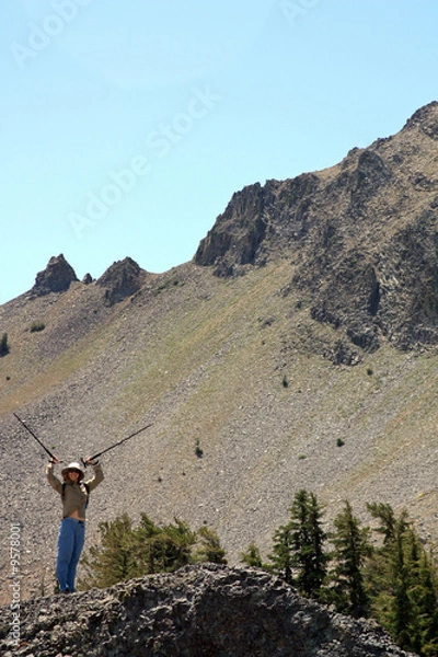 Obraz Hiking Poles up