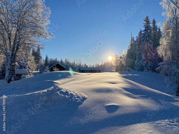 Obraz winter road in the forest