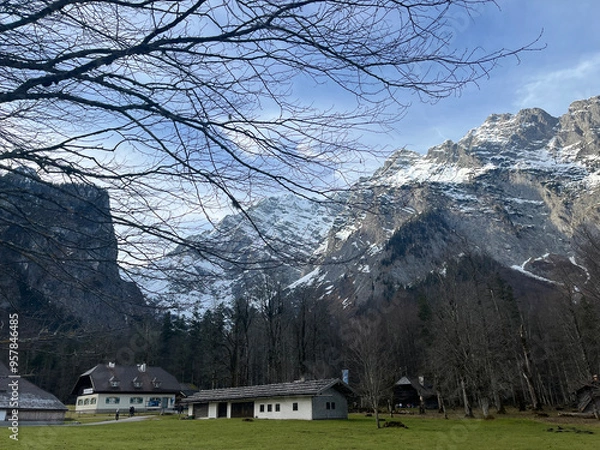Obraz Mountain and tree