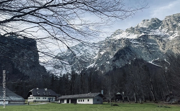 Obraz Mountain and tree