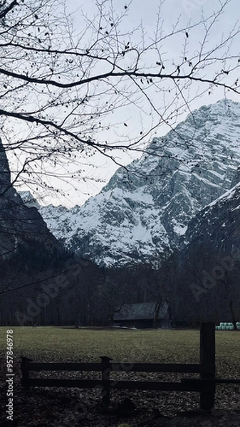 Obraz Mountain and tree