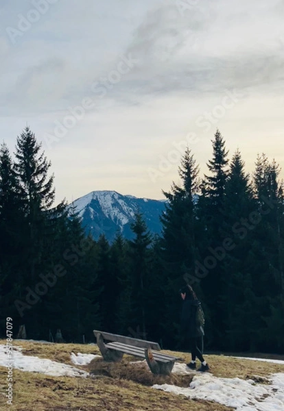 Obraz Mountain and tree