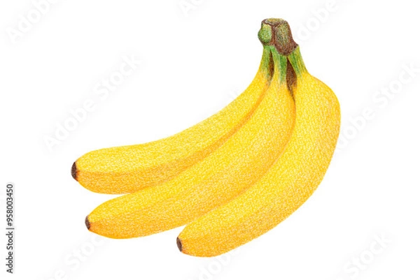 Obraz バナナのイラスト