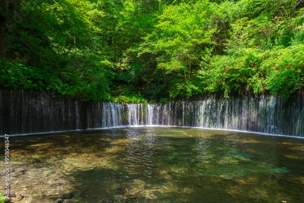 Obraz 軽井沢の人気観光スポット 白糸の滝