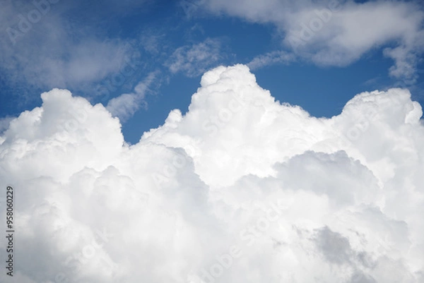 Obraz clouds fluffy white clouds. detail.