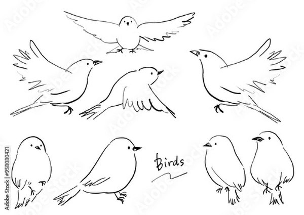 Fototapeta かわいい小鳥の手描き白黒イラスト　セット　線画
