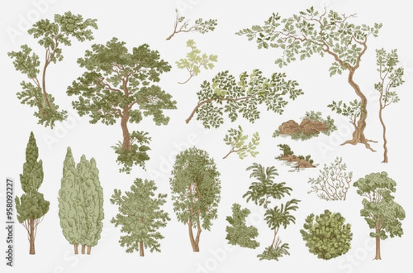 Obraz Set of trees and bushes. Woodland. Landscape elements. Vector vintage illustration.