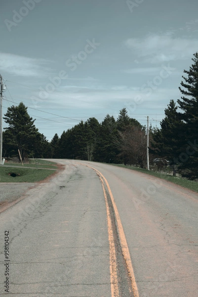 Obraz road in the mountains