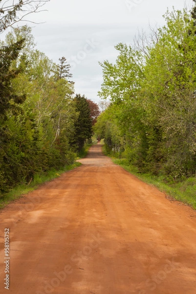 Obraz road in the forest