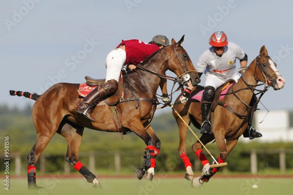 Obraz Openpolofrance016