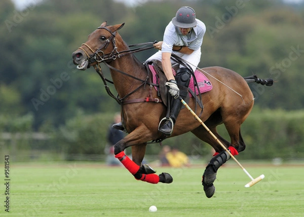 Obraz Openpolofrance015