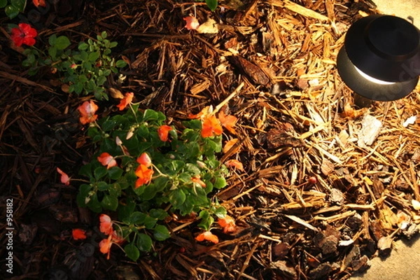 Fototapeta landscape lighting