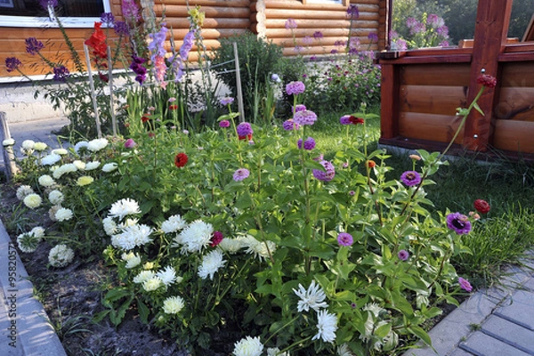 Obraz Фрагмент озеленения загородного дома