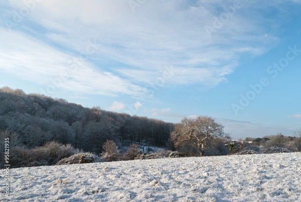Obraz Winter scene Saint Fagans