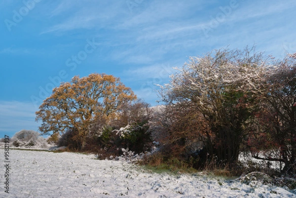Obraz Winter scene Saint Fagans
