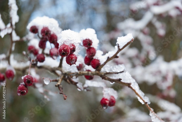 Obraz Winter scene Saint Fagans