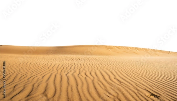 Fototapeta vast and hot desert hills isolated on transparent background, png dunes desert cutout