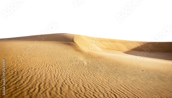 Fototapeta vast and hot desert hills isolated on transparent background, png dunes desert cutout