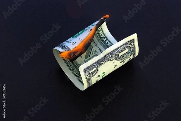 Obraz Burning Money