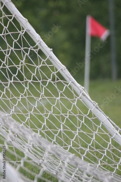 Fototapeta from the corner