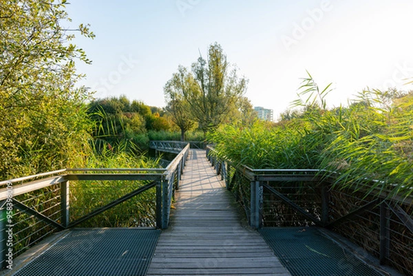 Fototapeta A walkway with a bridge over a pond. The walkway is surrounded by trees and bushes