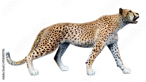 Obraz 3D Rendering Big Cat Cheetah on White