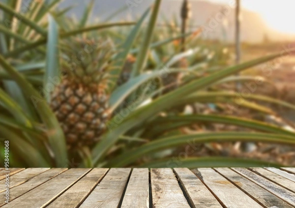Obraz Wooden table top on blur pineapple field background in daytime. For montage product display or design key visual layout.View of copy space.