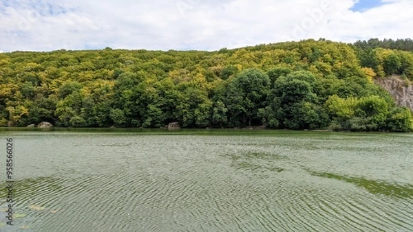 Fototapeta landscape with trees and clouds