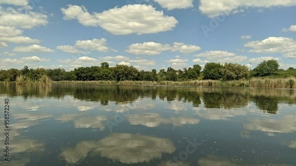 Fototapeta reflection of trees in water