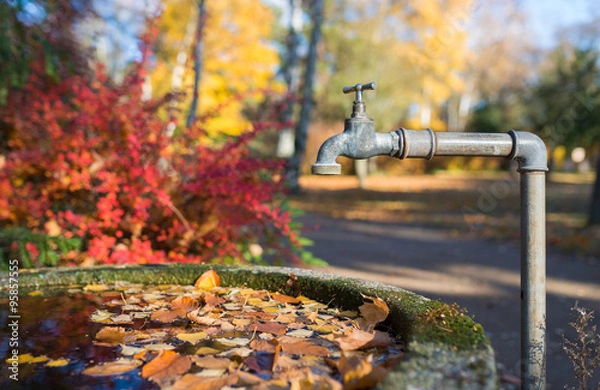 Fototapeta Rustic steel faucet over a stone water reservoir with leaves on the water surface in autumn