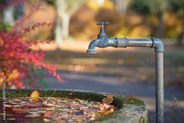 Fototapeta Rustic steel faucet over a stone water reservoir with leaves on the water surface in autumn