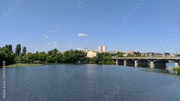 Fototapeta bridge over the river in the city