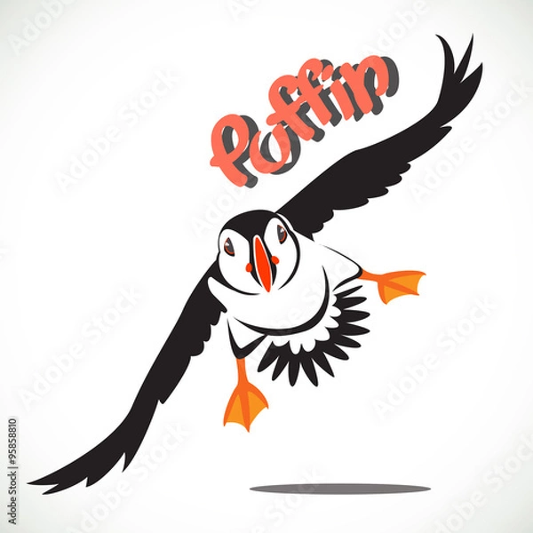 Obraz puffin bird