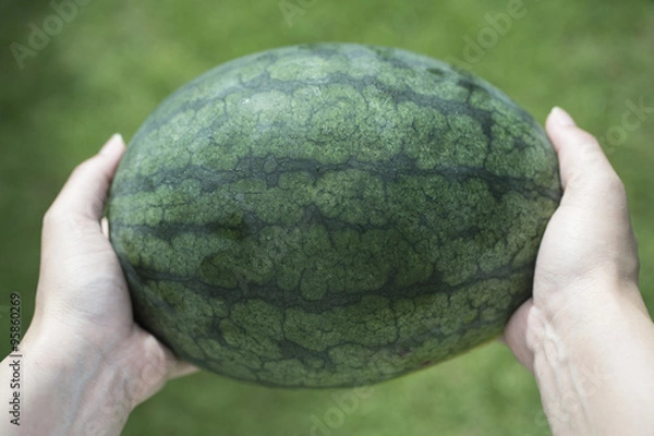 Fototapeta watermelon