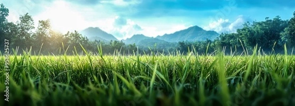 Fototapeta A serene landscape featuring lush green grass, mountains in the background, and a bright sunny sky, perfect for nature lovers.