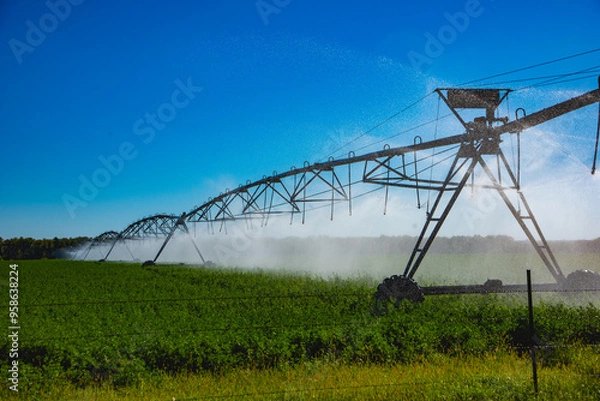 Obraz Powered center pivot irrigation system in use to water large alfalfa field growing in central North Dakota.