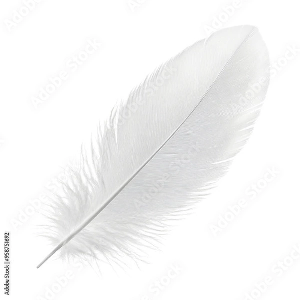 Fototapeta white feather isolated on transparent background cutout