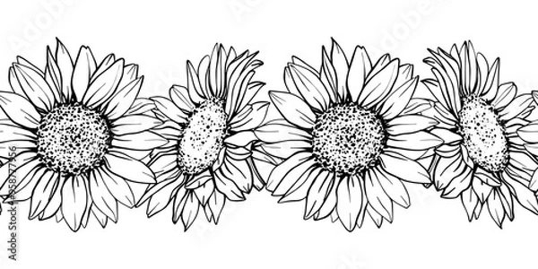 Obraz Sunflower seamless border. Hand draw Sketch pen and ink vintage vector illustration on white background. Botanical graphic engraving design