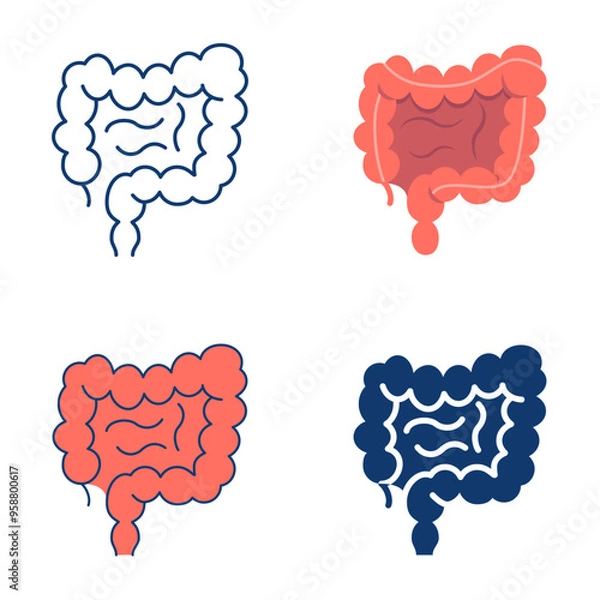 Fototapeta Human intestine icon set in flat and line style. Internal body organ, digestive system. Vector illustration.