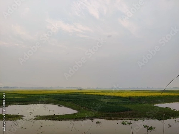 Obraz sunrise over field