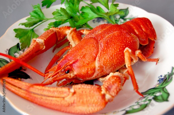 Obraz Boiled crayfish on plate