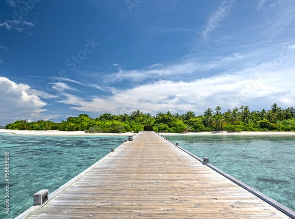 Fototapeta jetty to a beautiful tropical beach on the maldives