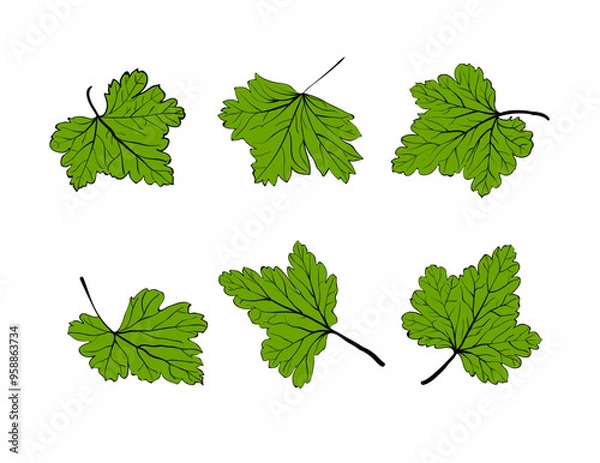 Obraz Different position Leaf combo design