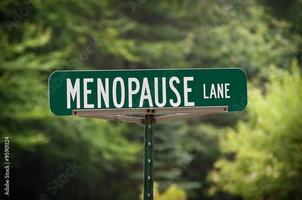 Obraz Menopause Lane Sign