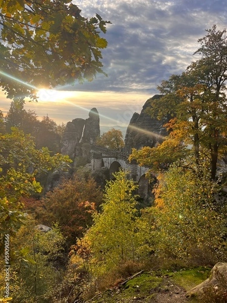 Obraz Germany Fall Autumn Sunrise Trees