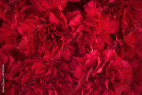 Obraz Bouquet of red flowers carnation for use as nature background.